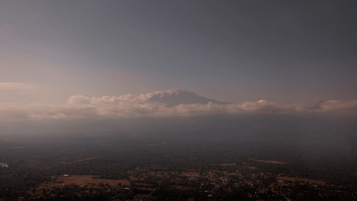 Kilimanjaro