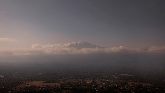 Kilimanjaro 