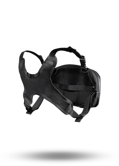 Pramukh Chest Rig